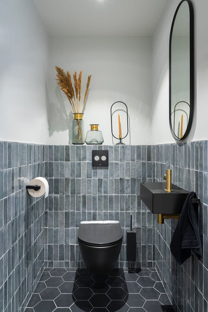 Brugman toilet Shark