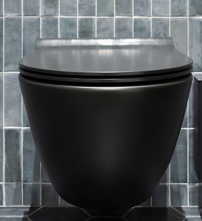 Zwart toilet