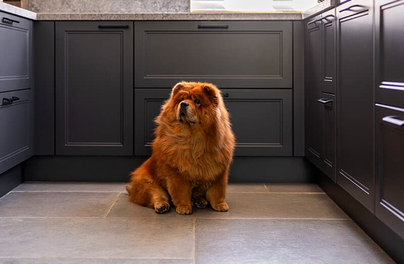 De ideale keukenvloer voor jou!