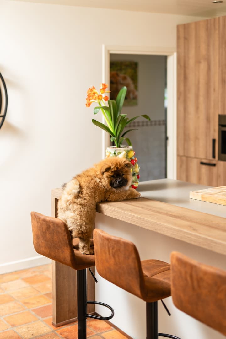 keuken-met-bar.jpg Landelijke keuken